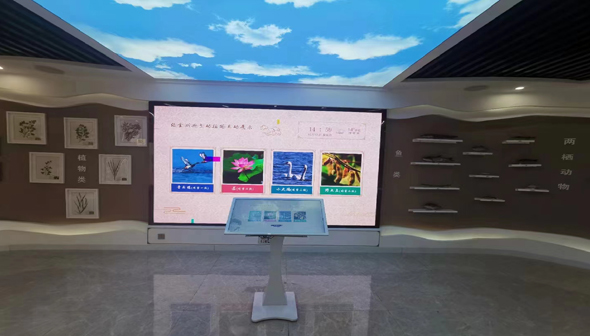 廣東博物館數字展廳.jpg